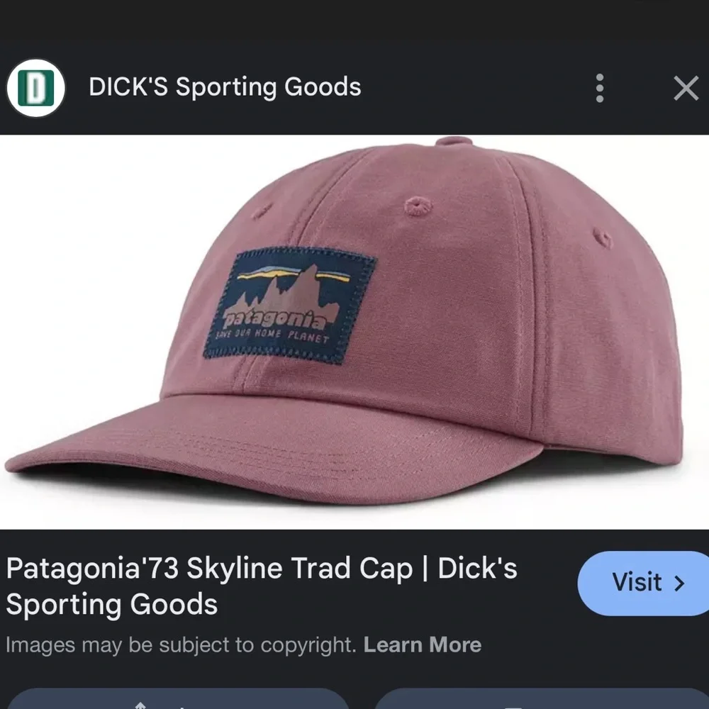 Patagonia Skyline Trad Cap in mauve - Picture 1 of 3